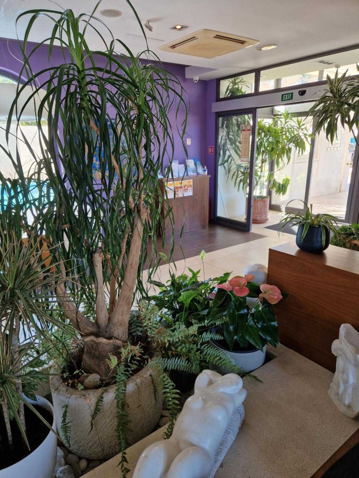 Hotel Lipa ポスティレ エクステリア 写真